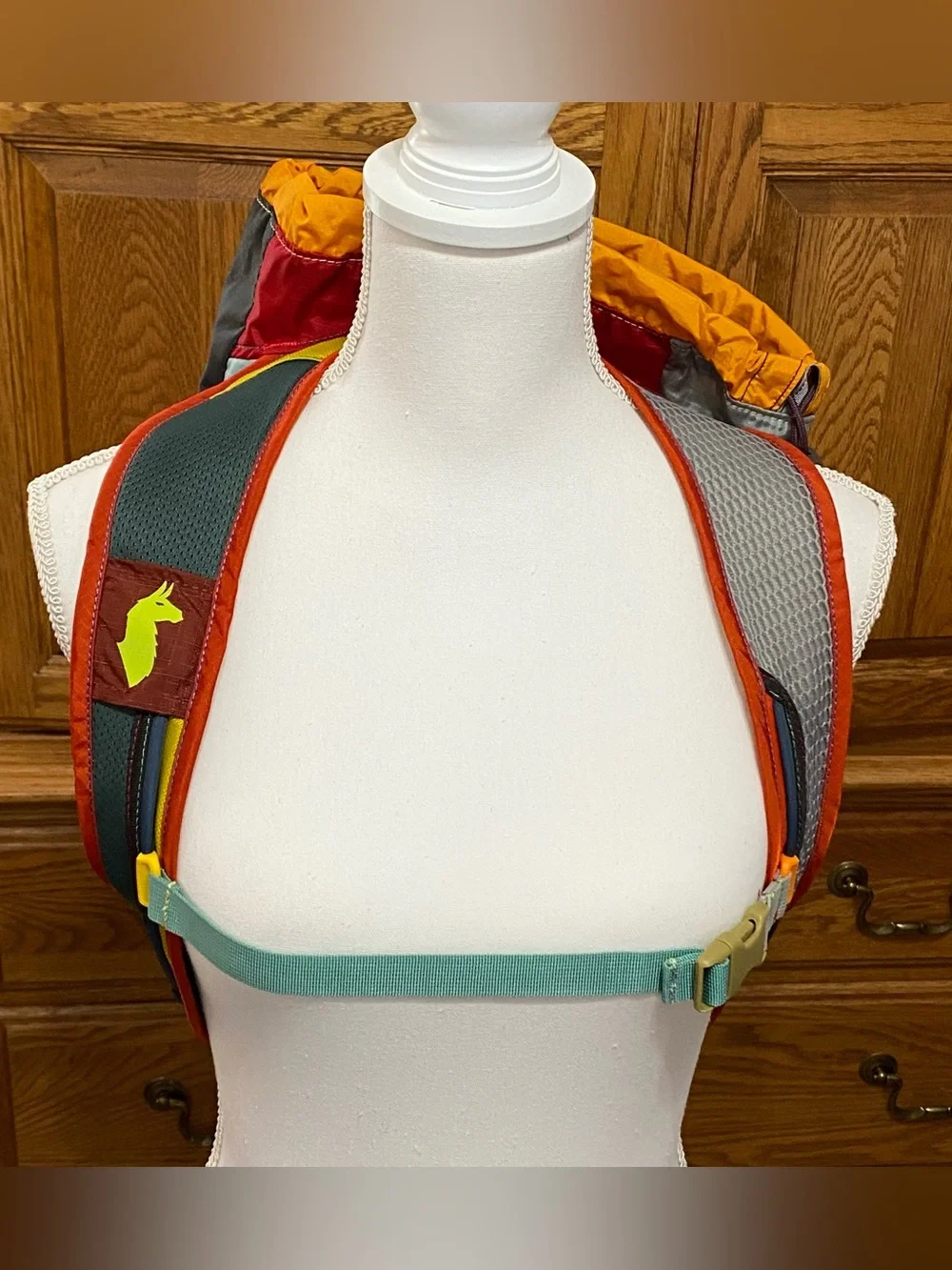 Cotopaxi Luzon 18L Daypack - Del Día Multicolor Backpack Hiking Outdoors NWT - Picture 4 of 16